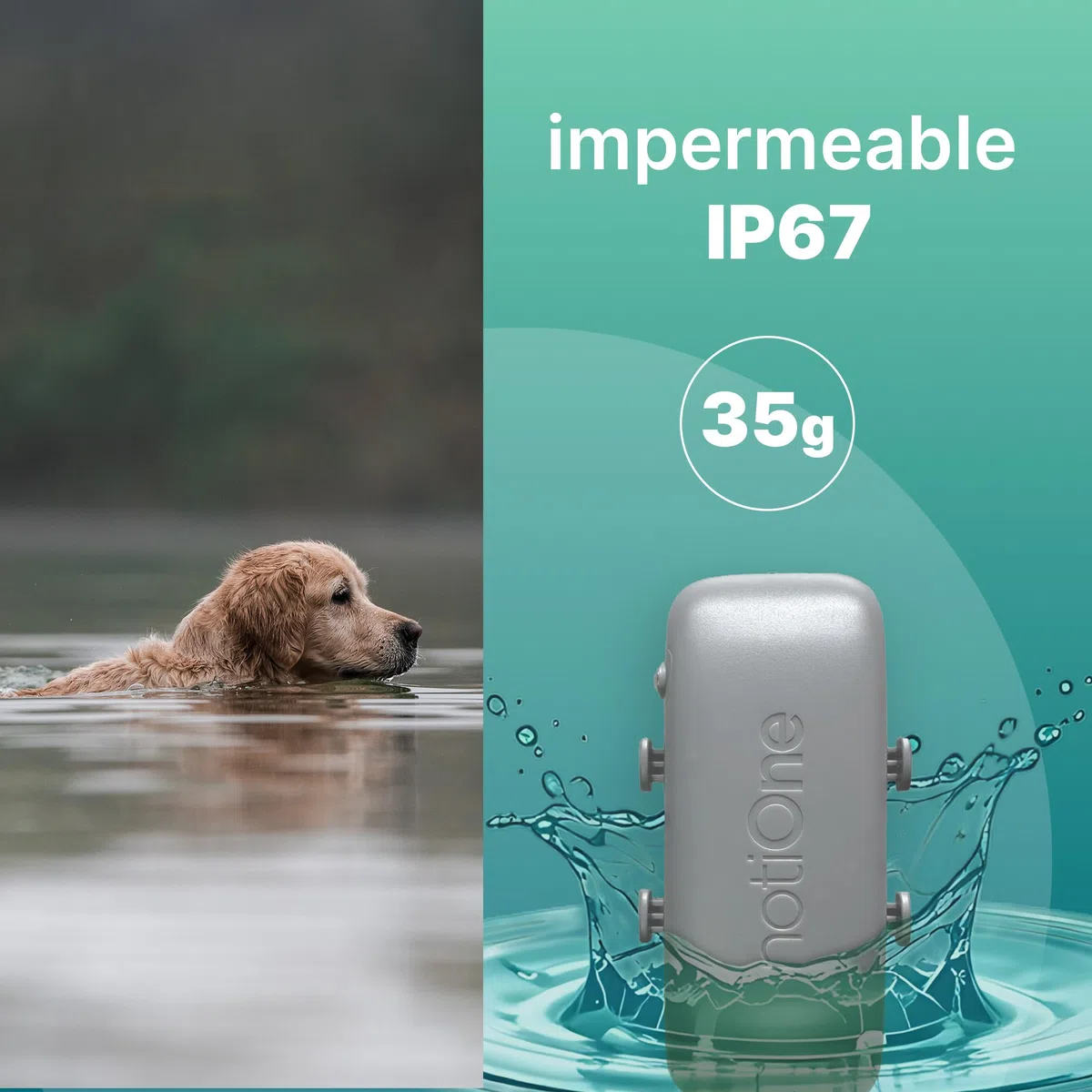 Localizador GPS para Perros Basic sin suscripción | Mini localizador GPS Perros y Gatos- Collar | Funciona en un país Europeo a elección