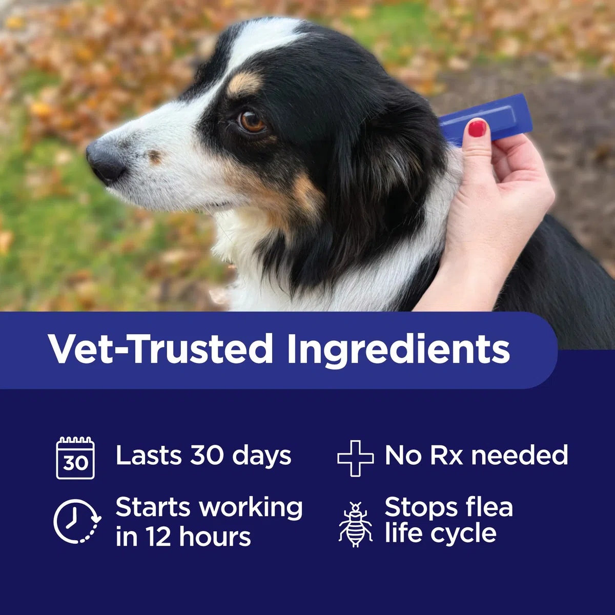 TevraPet Activate II Prevención de pulgas y garrapatas para Perros