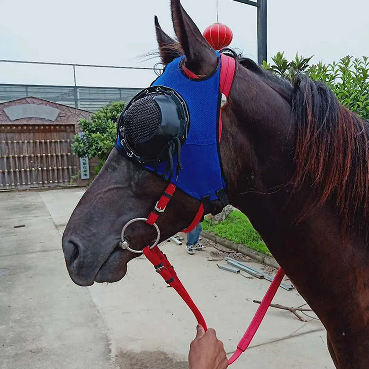 Suministros De Arnés Cubierta De Arnés Gafas A Prueba De Viento Gafas De Carrera De Velocidad con Gafas De Malla Cubierta Anti-trachoma Hogar De Caballo(Color:Negro)