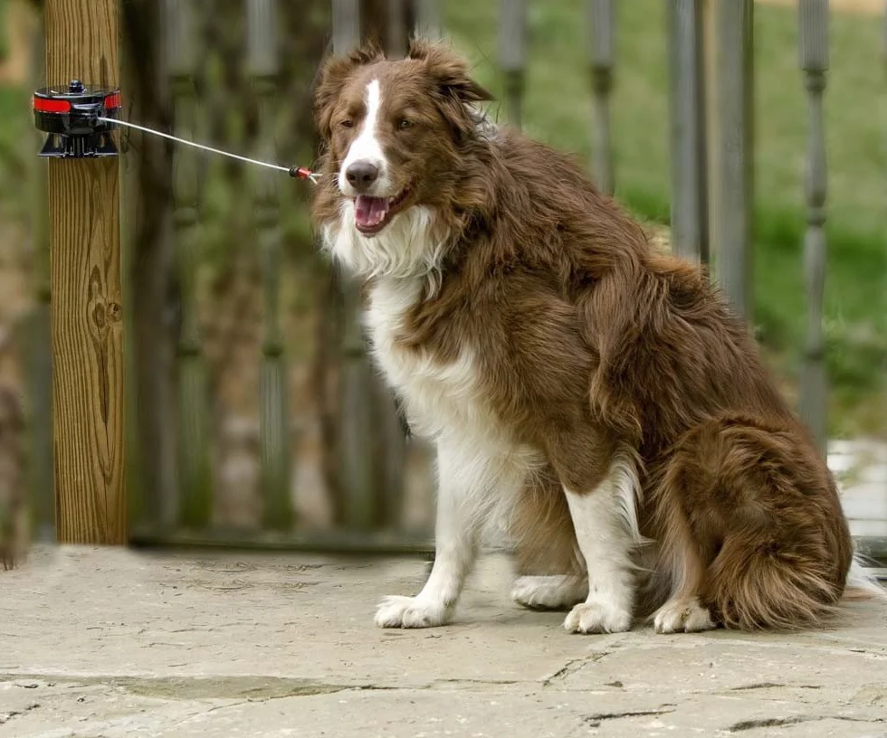 Lixit Animal Care Bracket Mount Retractable Tie out Reel, Large by Lixit Animal Care