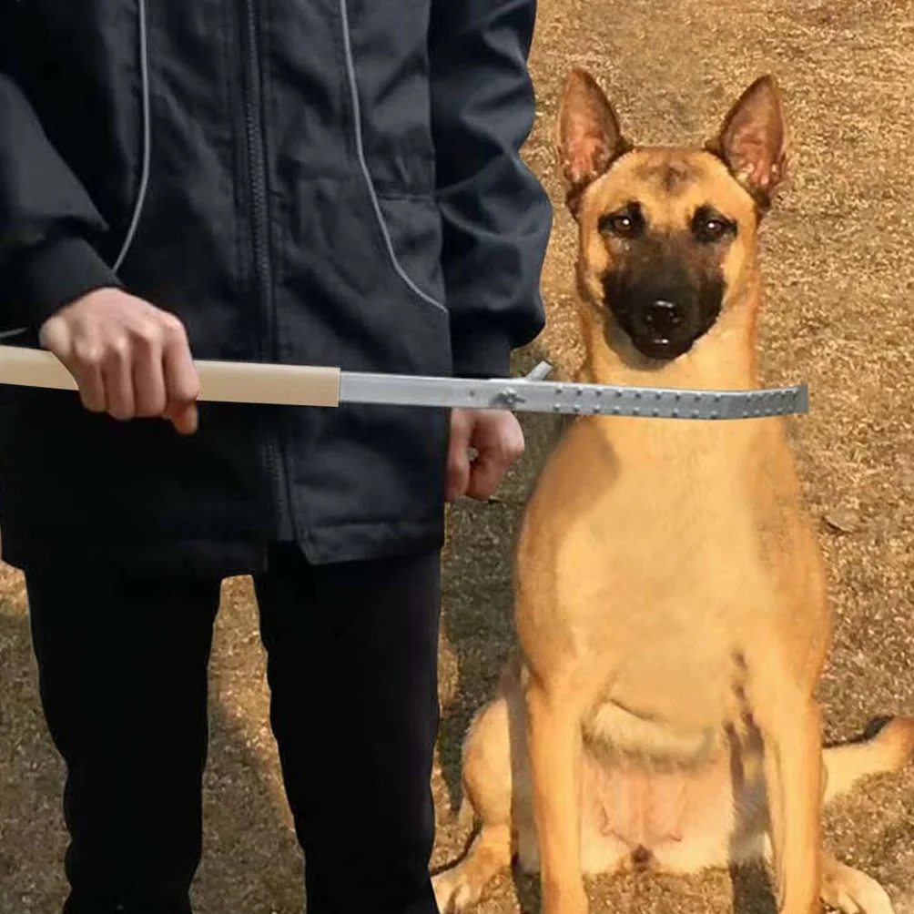 Poste de Adiestramiento para Perros Portátil, Profesional, para Entrenamiento del Comportamiento de Mascotas, Ligero.