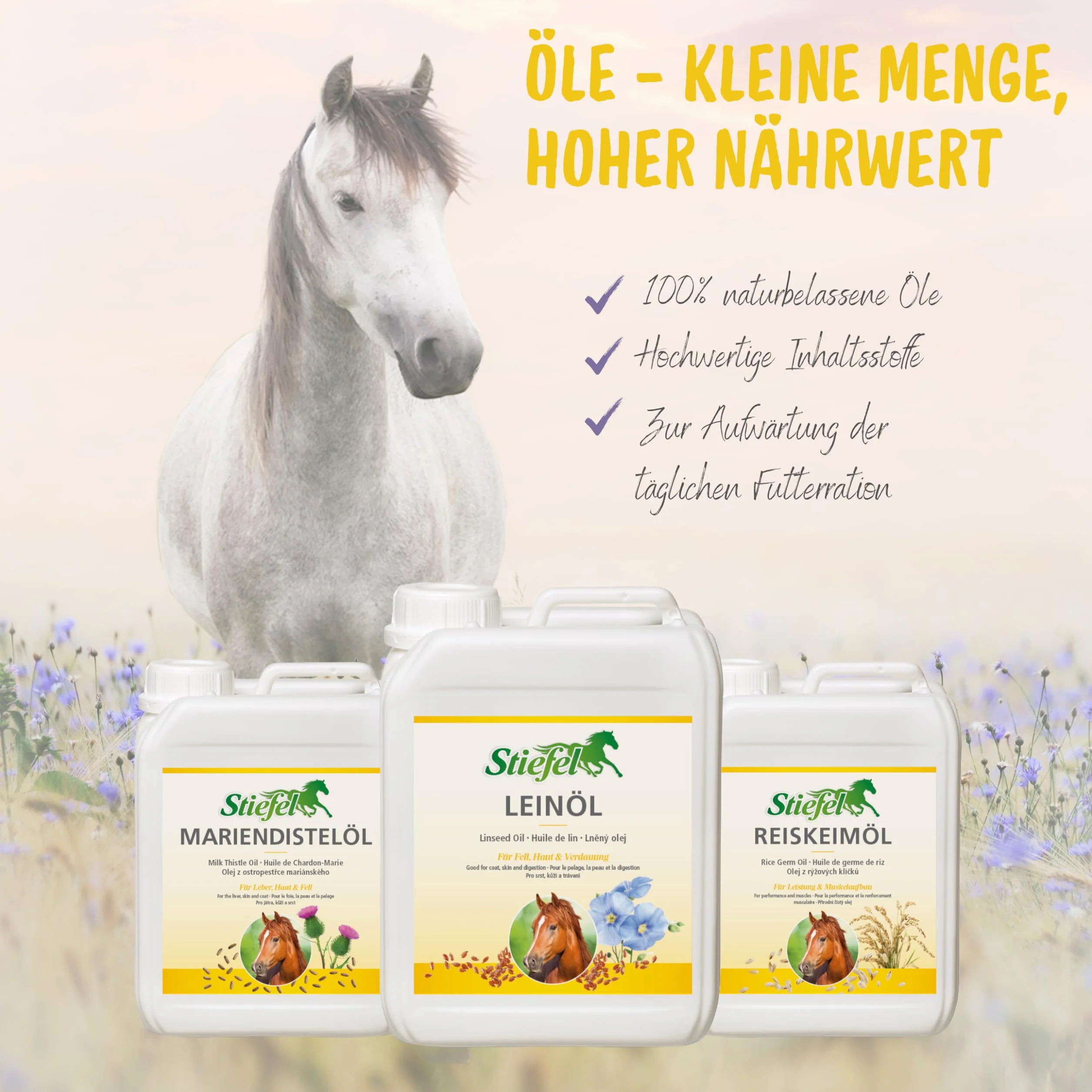 Stiefel Reiskeimöl 5Ltr
