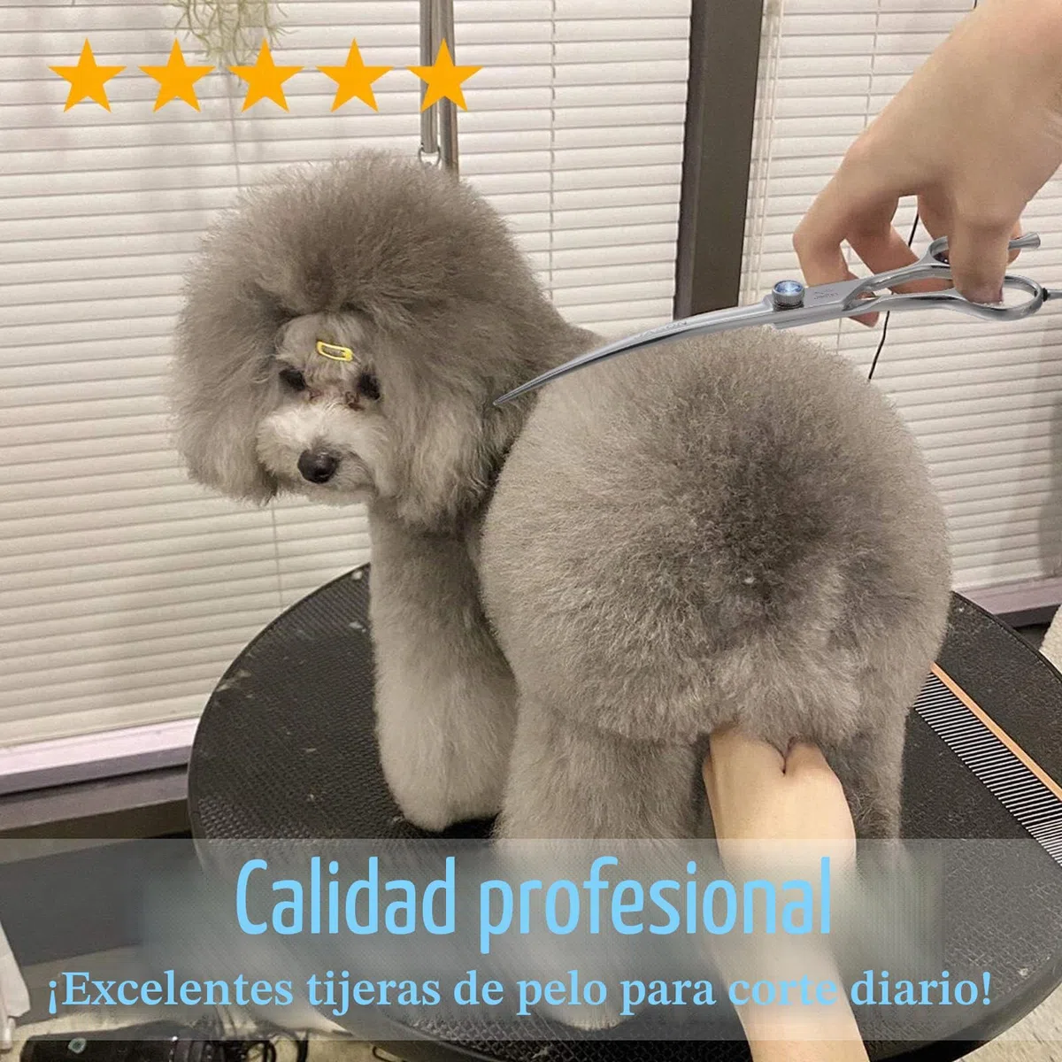 JASON Tijeras curvas de 7 pulgadas para perros Tijeras profesionales para perros y gatos de acero inoxidable 440C
