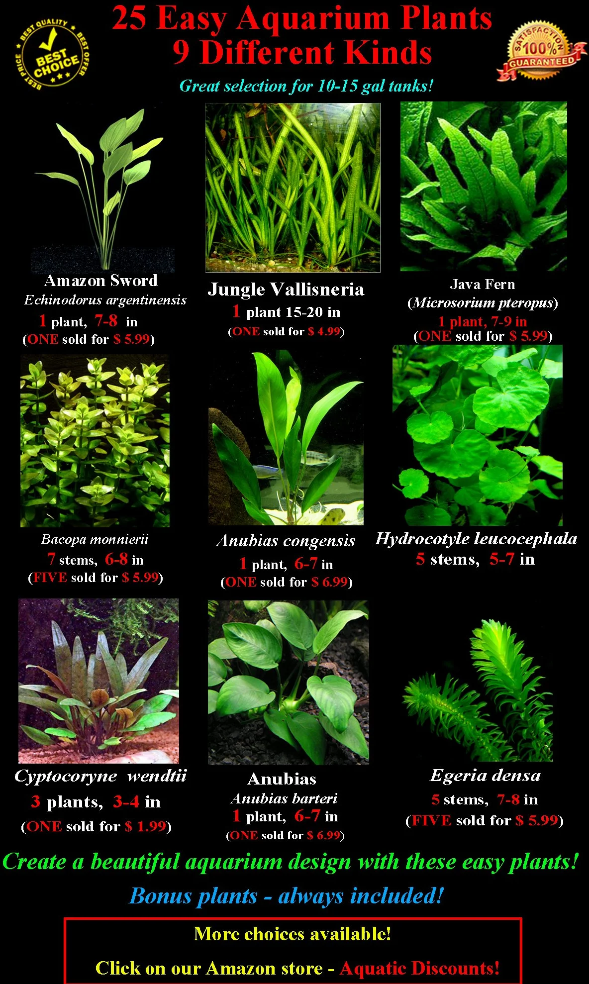 25 plantas de acuario vivas/9 tipos diferentes: espadas amazónicas, anubias, helecho de Java, Ludwigia y mucho más. Gran muestra de plantas para tanques de 10 a 15 galones