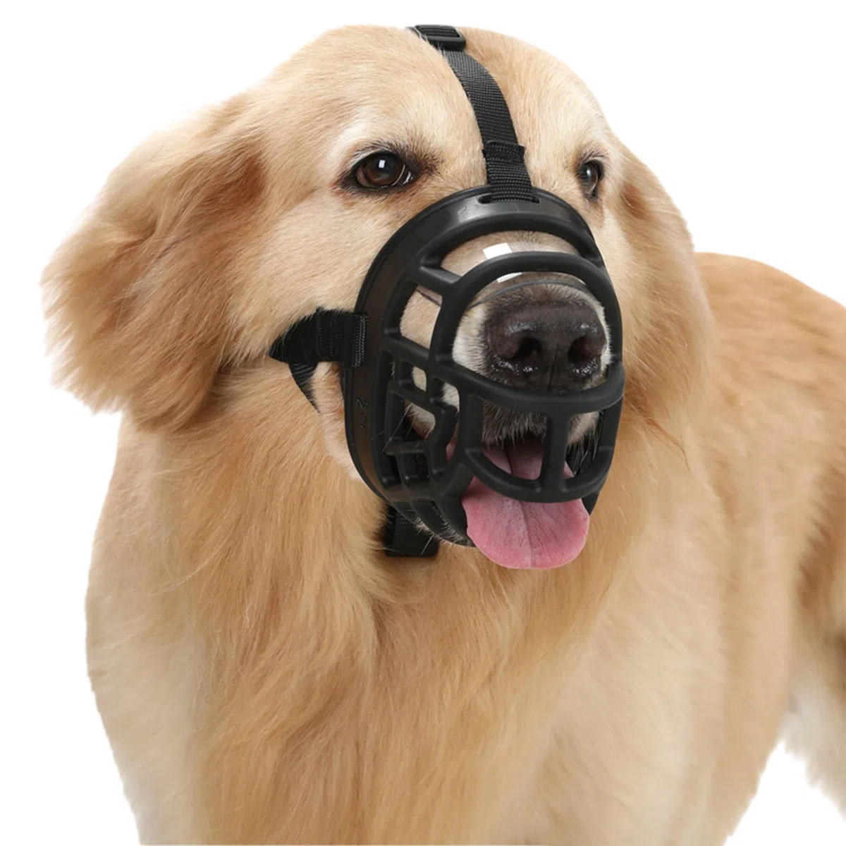 Bozal para Perros, Bozal for Perros Grandes, bozal for pequeños, Transpirable, Ajustable, Acolchado, Permite jadear y Beber, Resistente a la abrasión(No. 1)