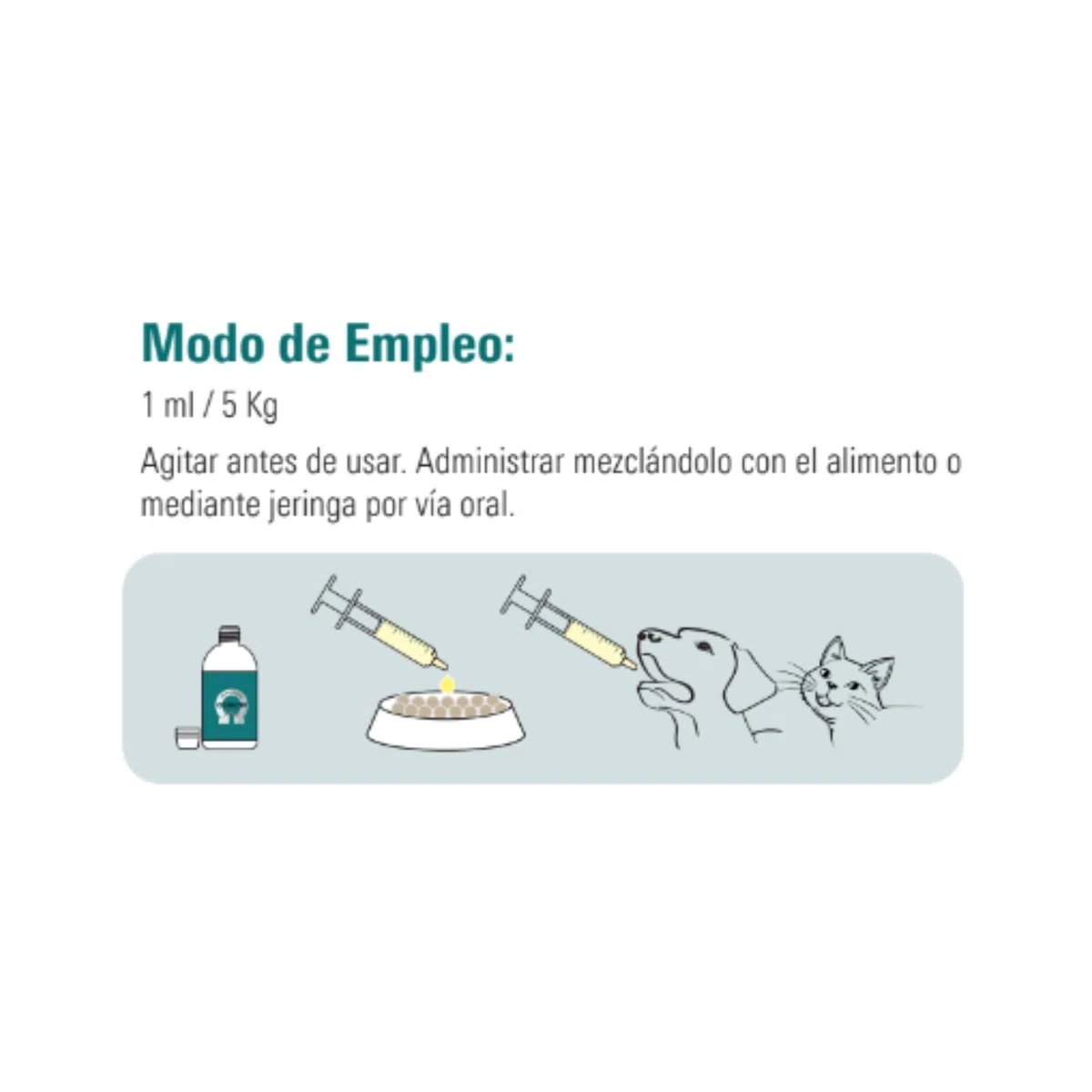 VetNova - Conecta Plus, Solución Oral con Omega-3 (DHA EPA), Vitaminas B, A, D3 y E con Ginkgo Biloba para Perros y Gatos, Ayuda a Preservar la Funcionalidad Cognitiva, Movilidad y Bienestar - 450 ml