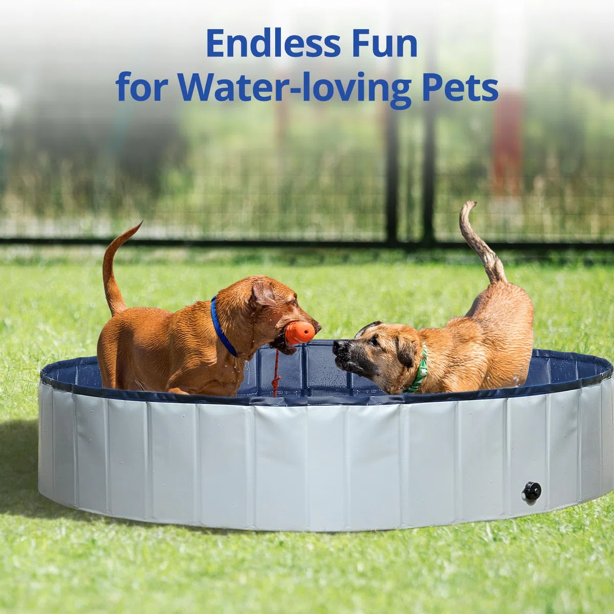 Piscina para Perros Grandes 120x30 cm, Portátil, Piscina Plegable (L), Redondo