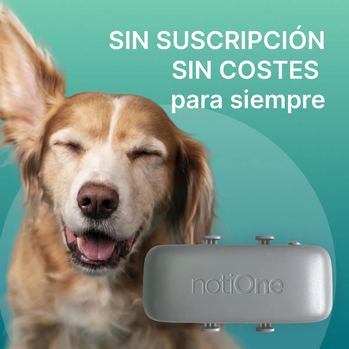 Localizador GPS para Perros Basic sin suscripción | Mini localizador GPS Perros y Gatos- Collar | Funciona en un país Europeo a elección