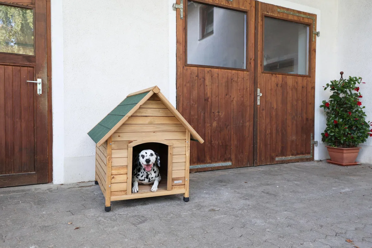 Kerbl Pet Caseta de perro, casa de perro, marrón/verde, 85x73x80 cm, madera, resistente a la intemperie, perros, patas regulables en altura, techo de betún