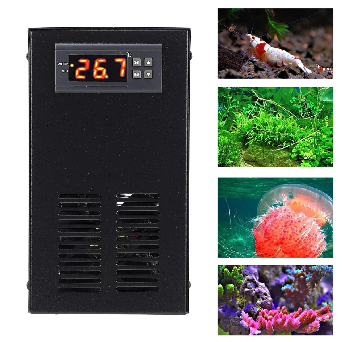 FTVOGUE Enfriador de Acuario, Pantalla Digital, Temperatura Ajustable, Enfriador de Tanque de Peces con Estructura Estable para Tanque de Plantas Marinas de Agua Dulce de 20L (Enchufe de la UE)