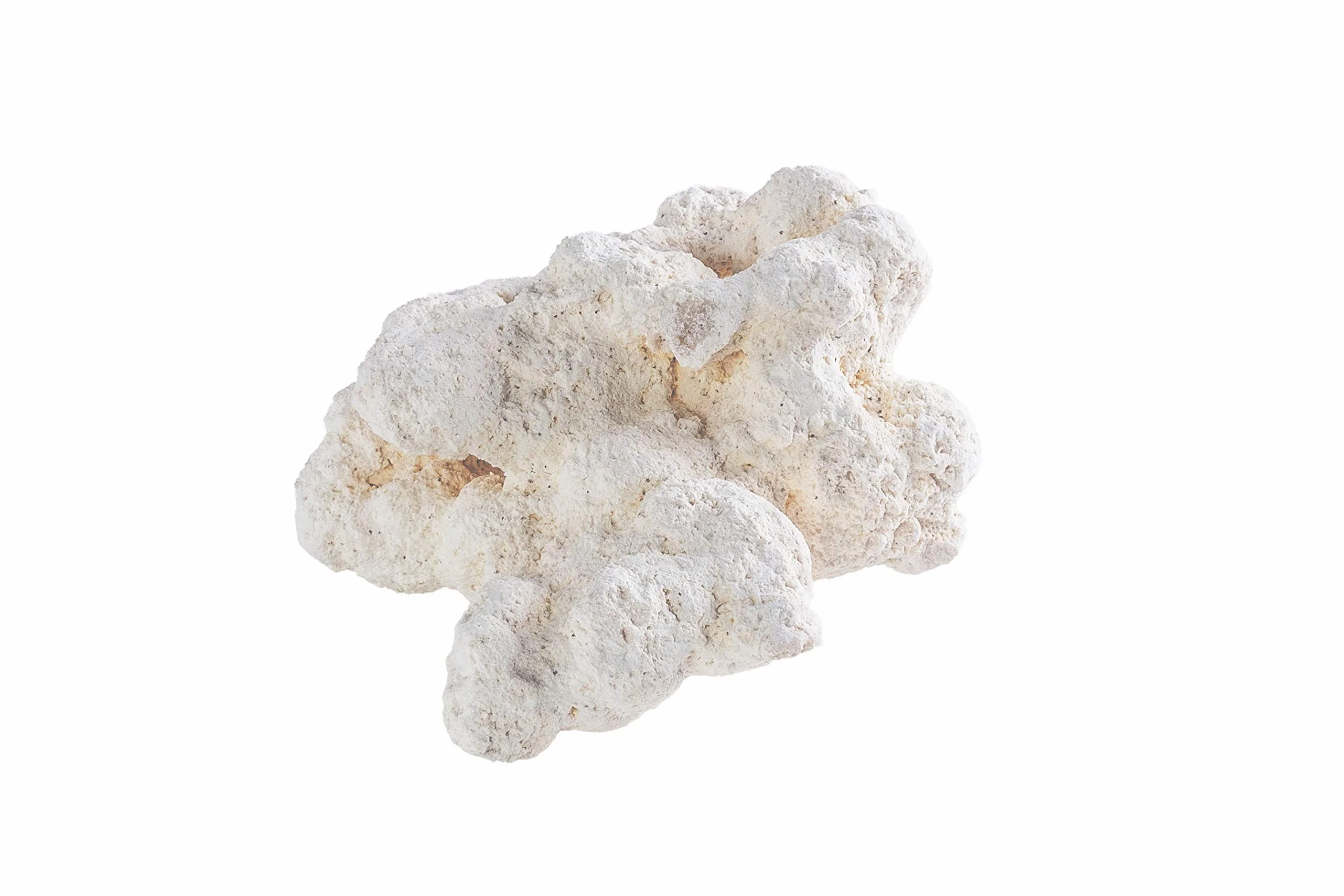 ARKA myREEF-Rocks 20kg / 9-12cm - Roca de Arrecife Natural para montajes auténticos en acuarios Marinos, Libre de sustancias nocivas, Zona de asentamiento Ideal para bacterias.