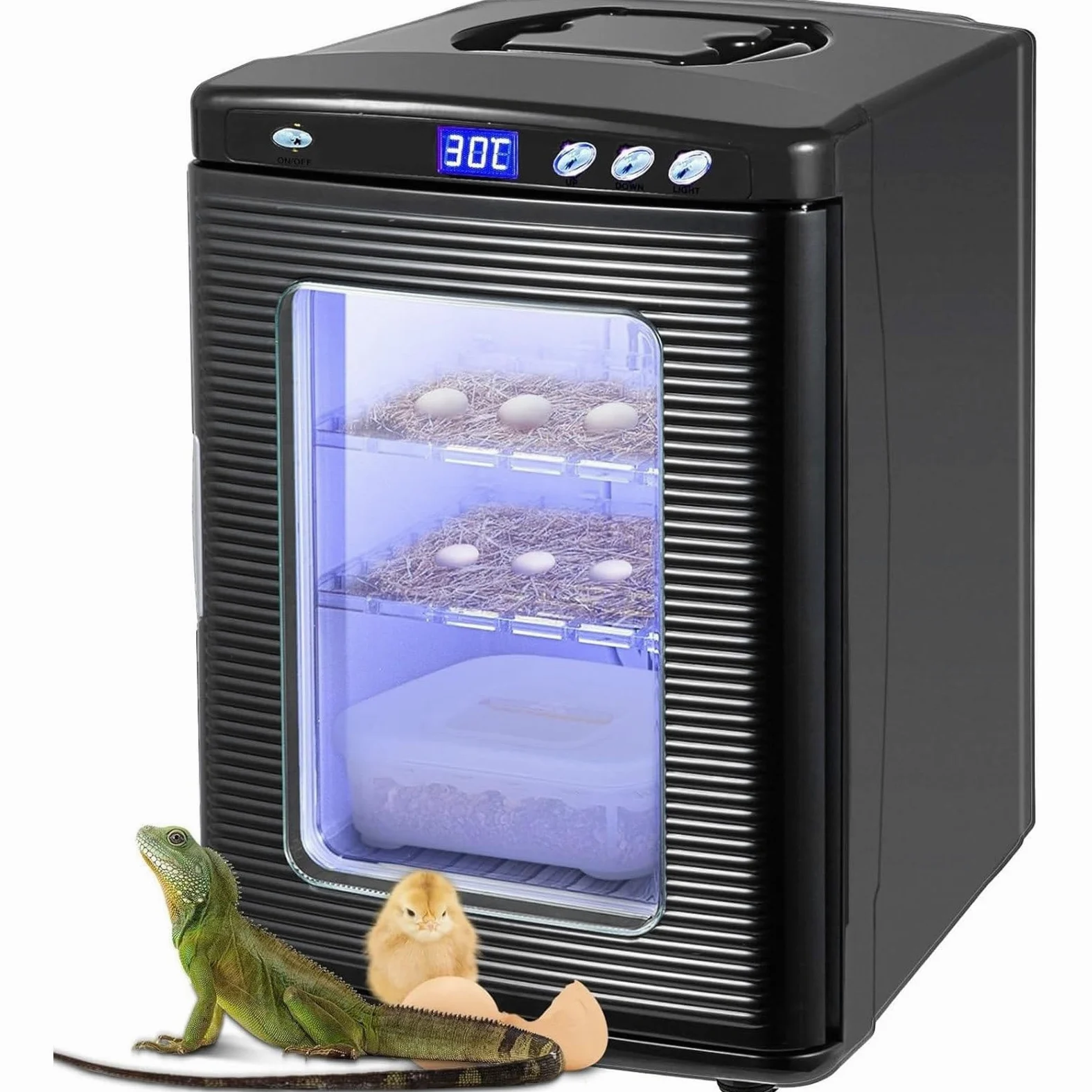 RayGenius Incubadora De Reptiles con Control De Temperatura Dual (5-60 °C), Termostato De RefrigeracióN Y CalefaccióN para Reptiles PequeñOs.