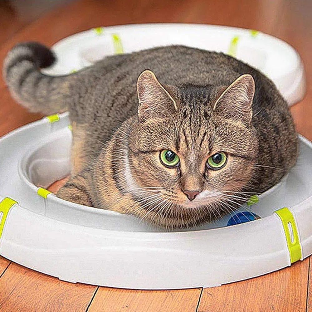 Ferplast Juego Interactivo para Gatos Typhon Circuito Modular, Bola de Luz LED Incluida