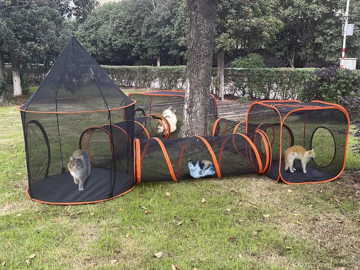 Túnel 6 en 1 para Gatos para Conejos Exteriores y Animales pequeños con Bolsa de Transporte