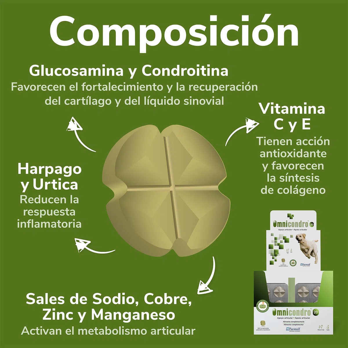 Omnicondro 20 Hifarmax - Condroprotector para Perros y Gatos | Glucosamina y Condroitina para Articulaciones | Vitaminas Mascotas | Suplementos para Perros Mayores | 300 Comprimidos