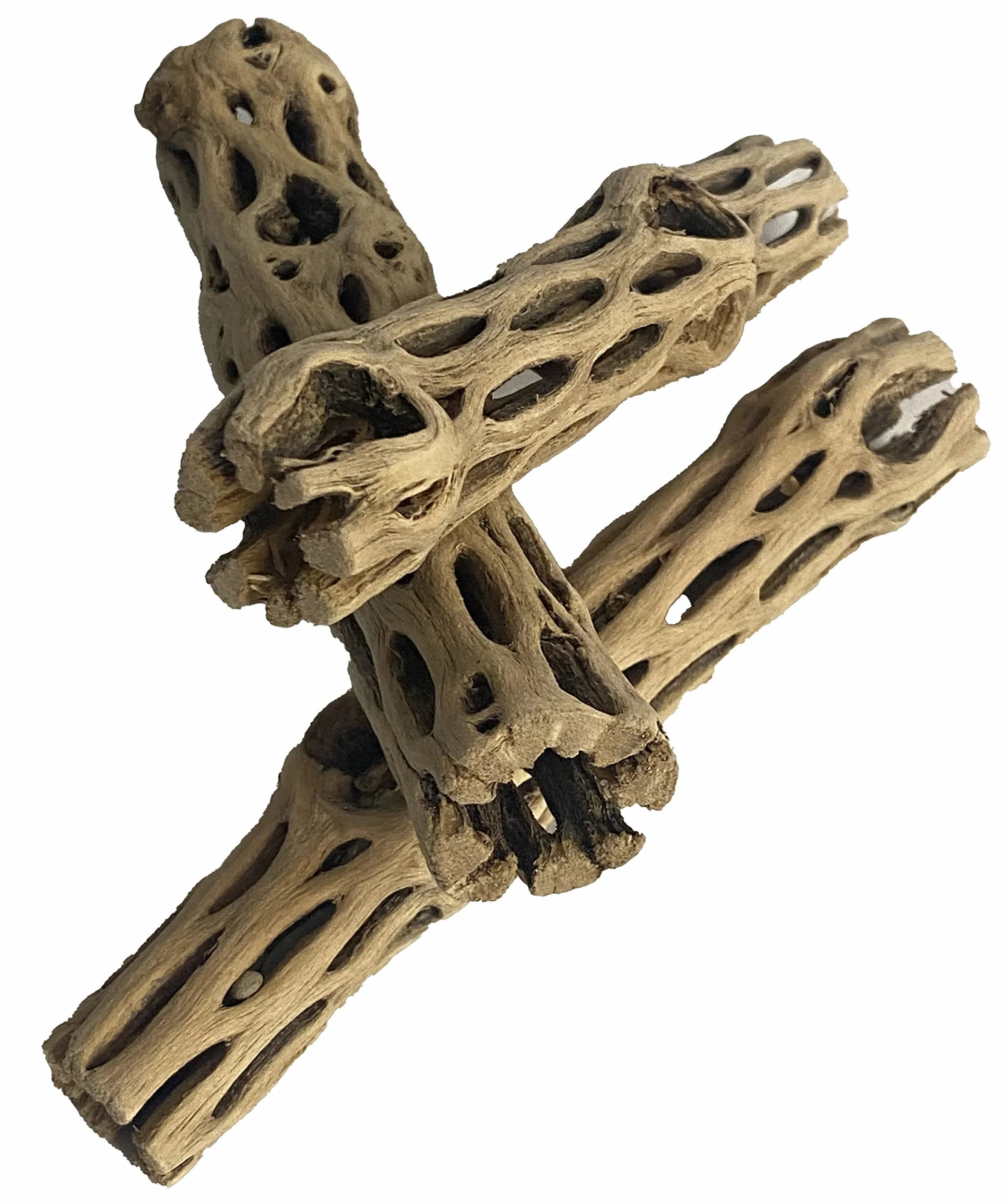 Awesome Aquatic Madera Natural de cholla/choya, 3 Piezas de 6 Pulgadas, para hábitat de camarones y Alimentos, cangrejos ermitaños, Plecos, decoración de Acuario, Reduce el pH, escondites y Juguetes