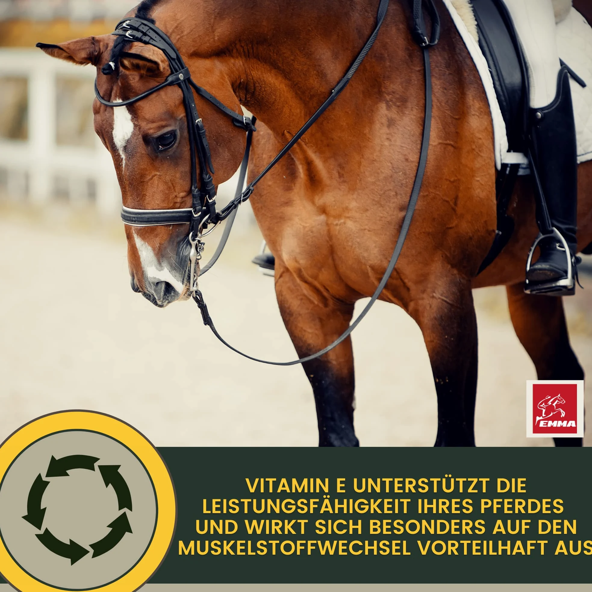 Alimento Mineral para Caballos Complejo de Vitamina b I biotina manganeso Zinc Caballo I Selenio Vitamina D A C B12 I minerales magnesio I Vitamina E I levadura de Cerveza I biotina Zinc Selenio 5Kg