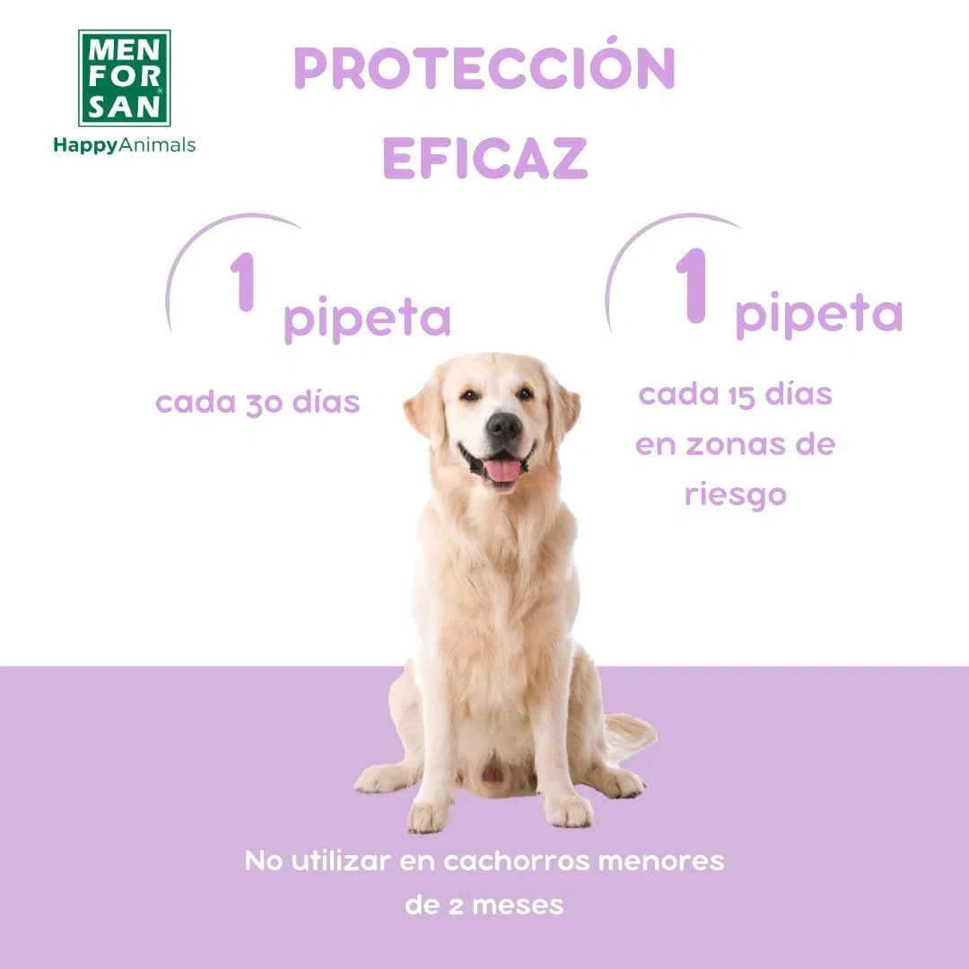 MENFORSAN Pack con 12 pipetas Anti-Insectos para Perros, con Margosa, geraniol y lavandino, con Bolsa autocierre