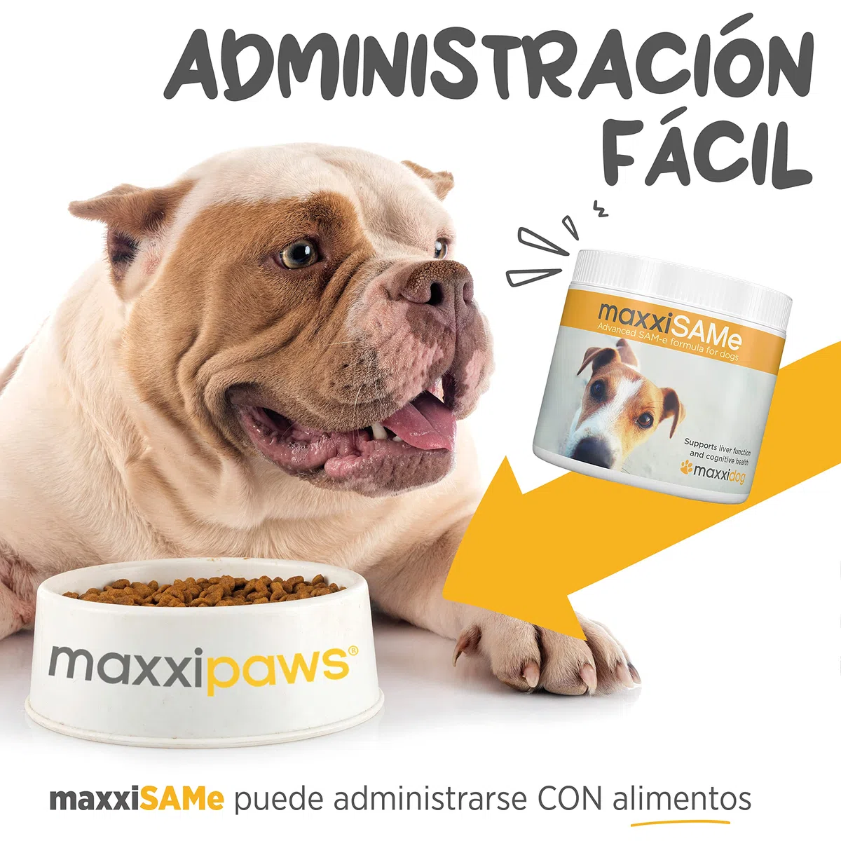 maxxipaws maxxiSAMe Suplemento en Polvo Avanzado de Sam-e – Apoyo para el Hígado, la Cognición y Las Articulaciones para Perros, 150g