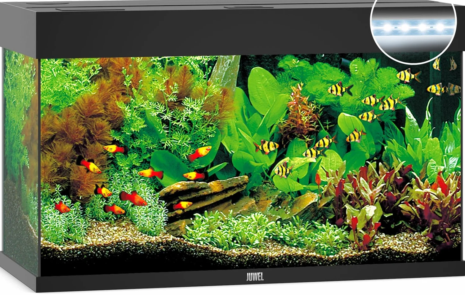 Juwel Rio 125 LED 01350 Acuario, Color Negro