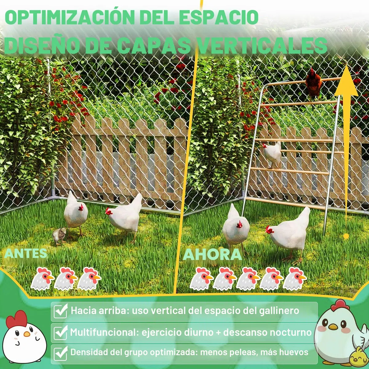 Froadp Columpio de madera de 5 niveles para pollos con percha - escalera para pollos, barra para pollos y juguete para pollos, accesorio para gallinero y corral para pollos