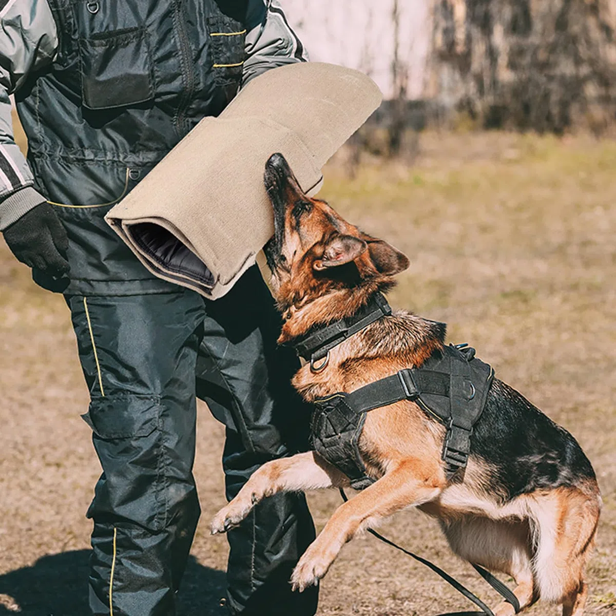 Funda de entrenamiento para mordeduras de perros pequeños a grandes, protectores de brazo acolchados, para policías, hogares, entrenadores de perros