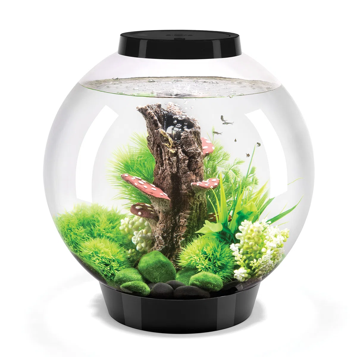 biOrb 72005 CLASSIC 30 LED negro - acuario decorativo completo con sistema de filtración, iluminación LED y grava cerámica de vidrio acrílico resistente