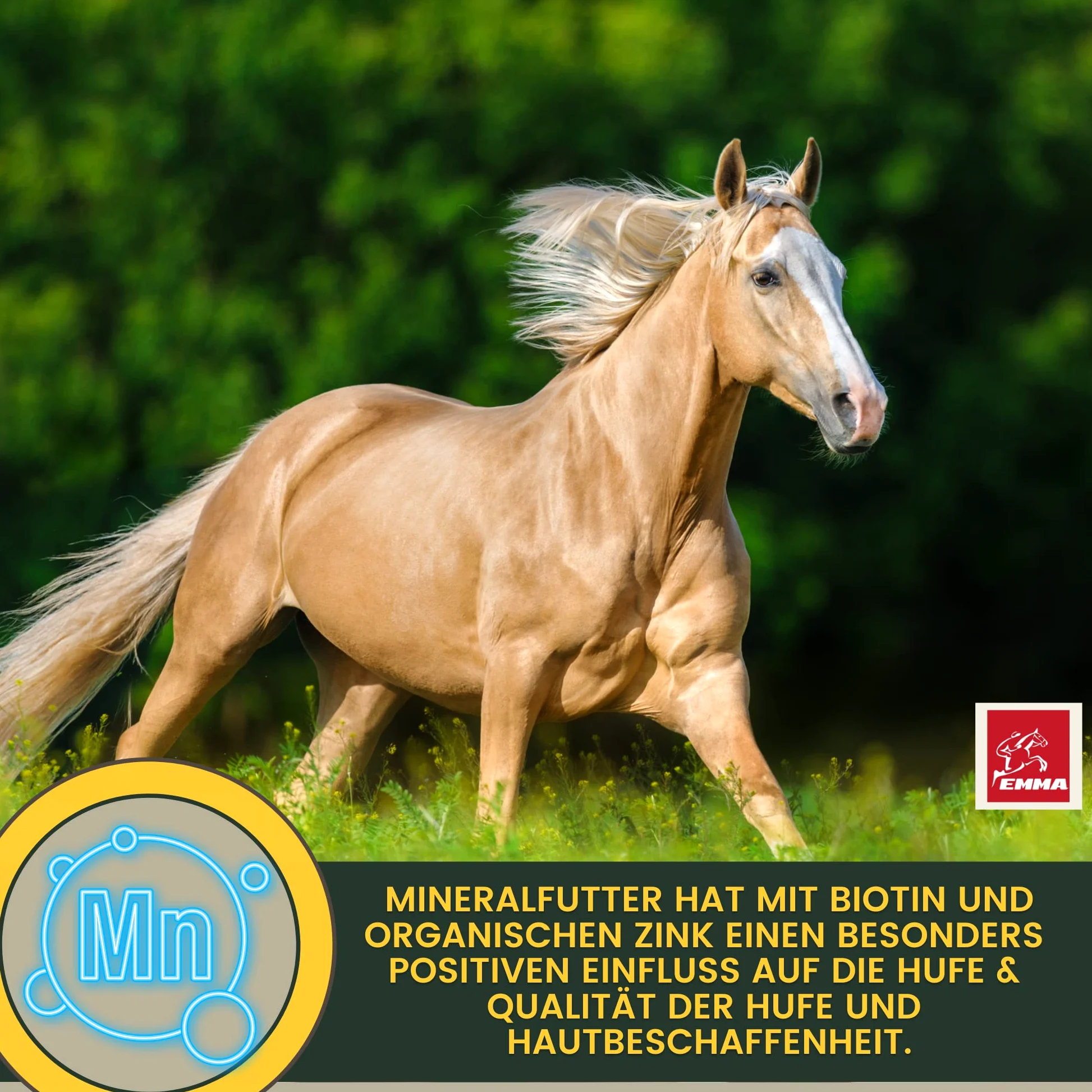 Alimento Mineral para Caballos Complejo de Vitamina b I biotina manganeso Zinc Caballo I Selenio Vitamina D A C B12 I minerales magnesio I Vitamina E I levadura de Cerveza I biotina Zinc Selenio 5Kg